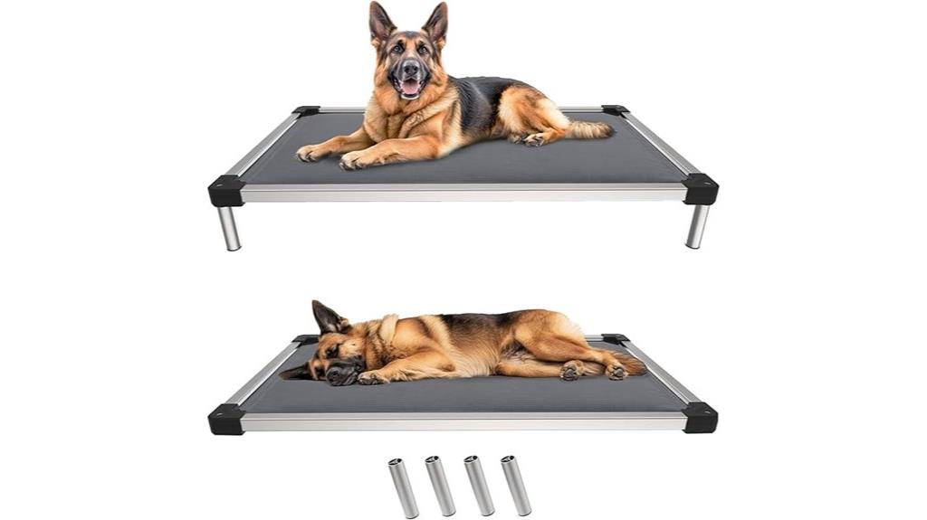 chew proof elevated dog bed