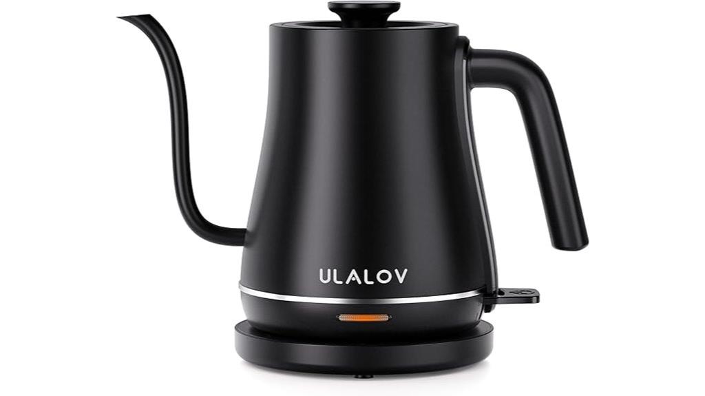 electric kettle for brewing