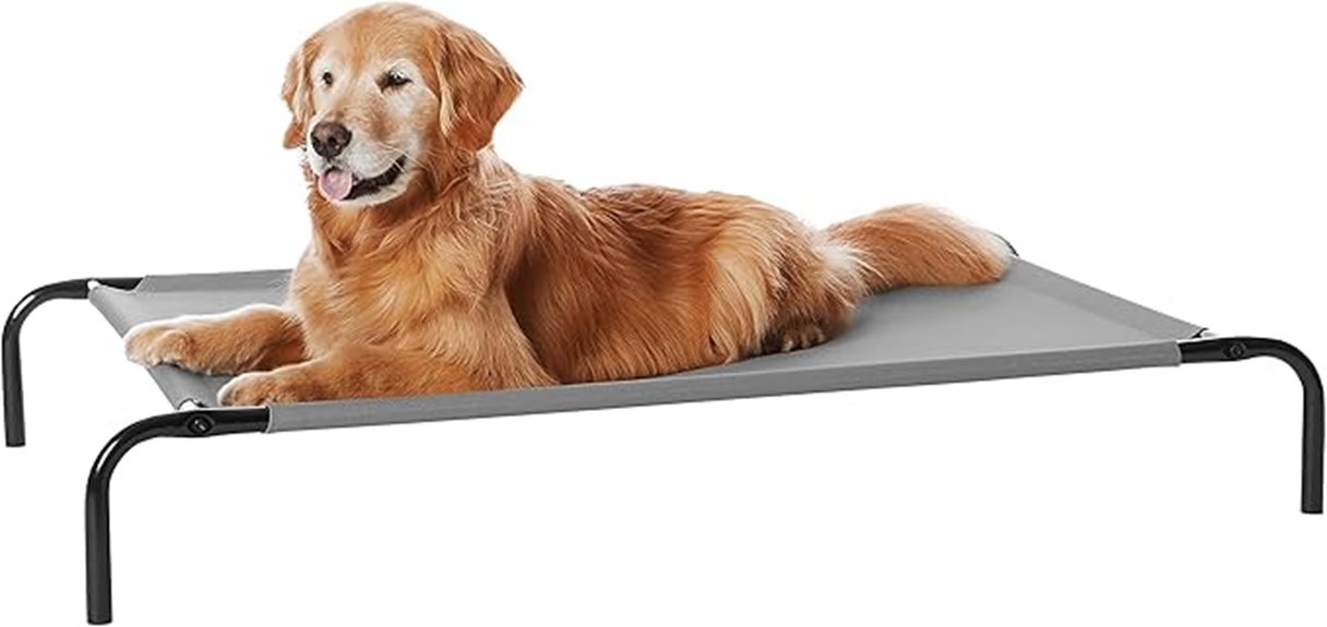 large dog elevated bed