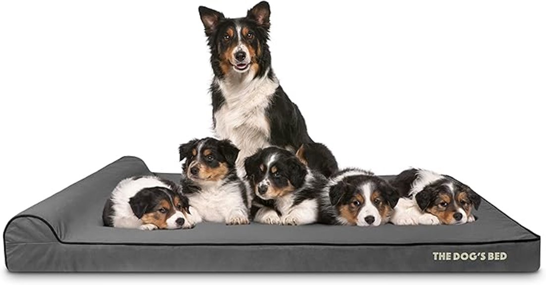 orthopedic dog bed xxxl