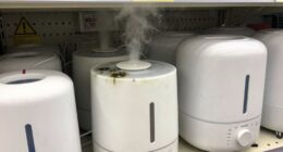 common humidifier shopping pitfalls