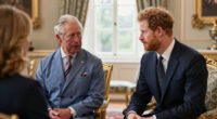 King Charles Prince Harry Meeting