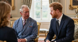 King Charles Prince Harry Meeting